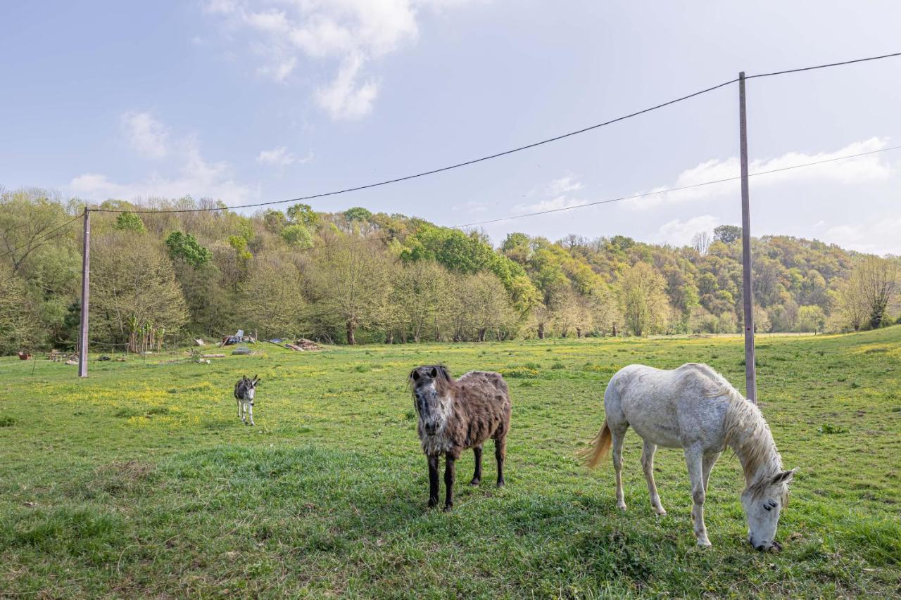 Gite Le Moulin Pocheluberry Bidache Zewnętrze zdjęcie